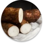 Wild Yam Root